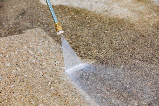 Best Roof Washing  in Samsula Spruce Creek, FL