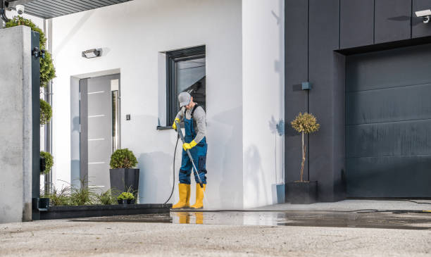 Best Soft Washing  in Samsula Spruce Creek, FL